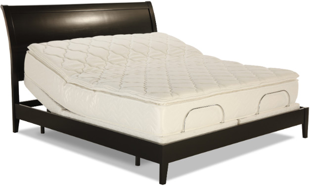 Burbank Electropedic