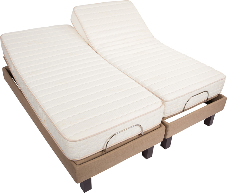LA Organic Beds